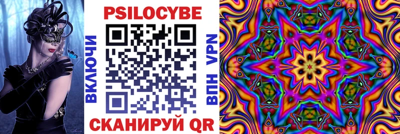 Купить  Тара  Псилоцибиновые грибы мицелий 